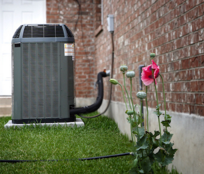 outside air conditioning unit with a pink flower growing next to it
